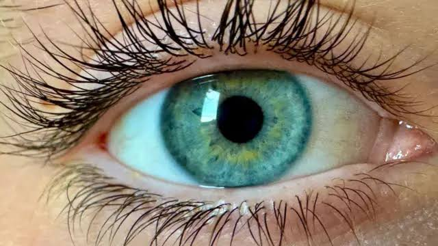 چگونه چشم و مغز رنگ‌ها را می‌بینند؟